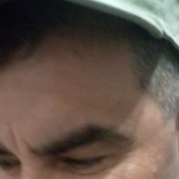 ���� �������, �������, 48 ��� - ��������� 3 �������� 2025