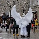 ���� ������, �����-���������, 59 ��� - ��������� 7 ������� 2025 � ������ ������ ��������