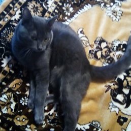 ���� ��������, ������, 47 ��� - ��������� 27 ������� 2023