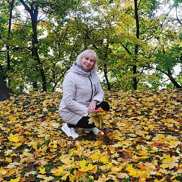 ����, ����, 56 ���