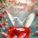 ���� Ը���, ������-��-����, 59 ��� - ��������� 12 ������ 2025 � ������ ���� ����������
