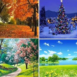 �������, ���������, 28 ���