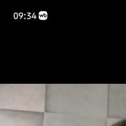 ����, 37 ���, �����������