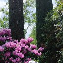 ���� �������, ������� - ��������� 5 ���� 2025 � ������ ������ ��������