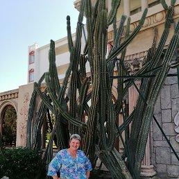 ������, �����������, 63 ����