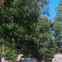  Igor, -, 59  -  18  2025    