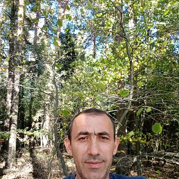 , 39, 