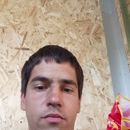 , 41, 