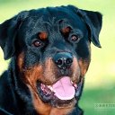 ���� ��������, ������, 49 ��� - ��������� 23 ���� 2025 � ������ ���� ����������