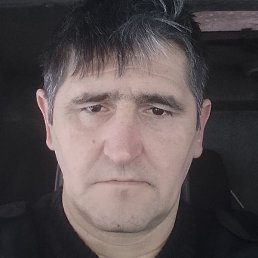 ������, ������, 46 ���