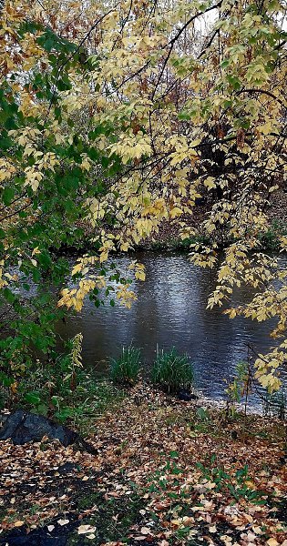 ���������, ���� �������... - 5