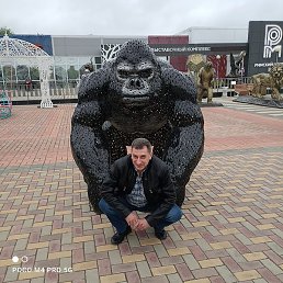 ������, ���������, 50 ���