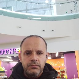 , 29, 