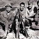 ���� �������, ������������, 49 ��� - ��������� 14 ����� 2025 � ������ ������ ��������