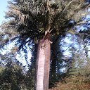 ���� �������, ������� - ��������� 26 ������� 2025 � ������ ���� ����������