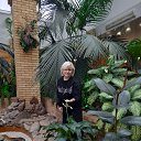 ���� �������, ������, 57 ��� - ��������� 9 ������� 2025