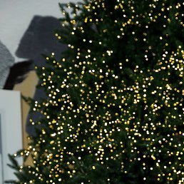 �����, ������, 48 ���