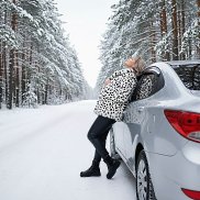 ����, 41 ���, ������