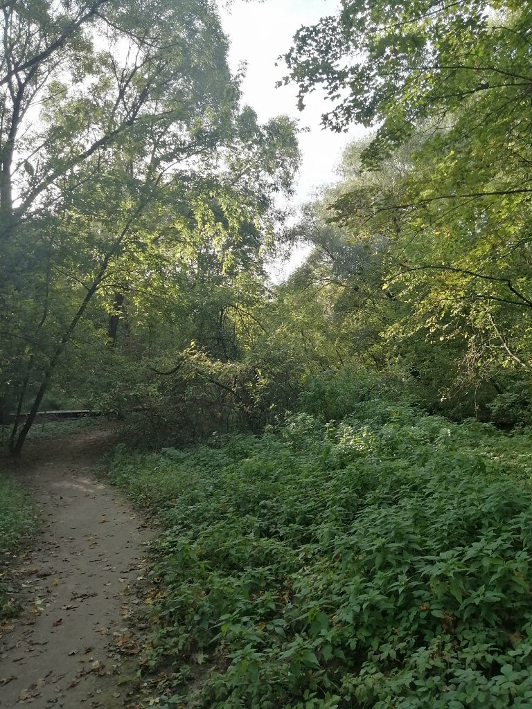 Река Сетунь. 