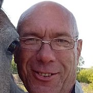 , 53 , 