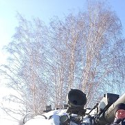 ��������, 37 ���, ������