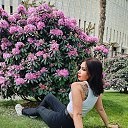 ���� �������, ���������, 45 ��� - ��������� 18 ��� 2025 � ������ ���� ����������