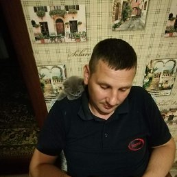 , 41, 