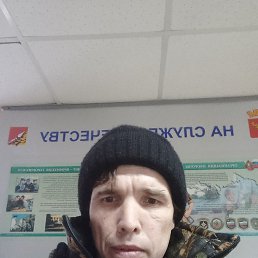 �����, 41 ���, ����