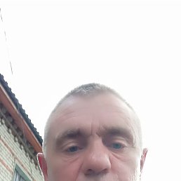 , 42, 