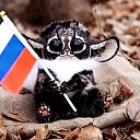 ���� �� Z, ������ - ��������� 2 ������ 2025 � ������ ���� ����������