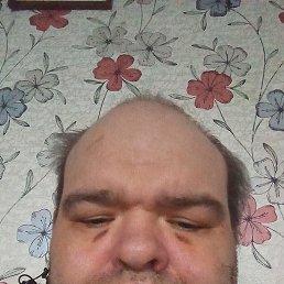 ���� ����, �������, 42 ���� - ��������� 13 ������ 2026