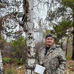 ���� ����, ������, 71 ��� - ��������� 12 ������ 2023