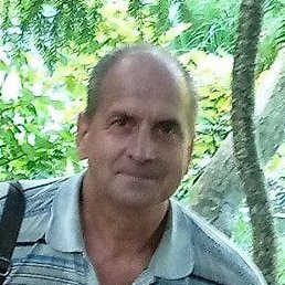 ����������, ���������, 56 ���