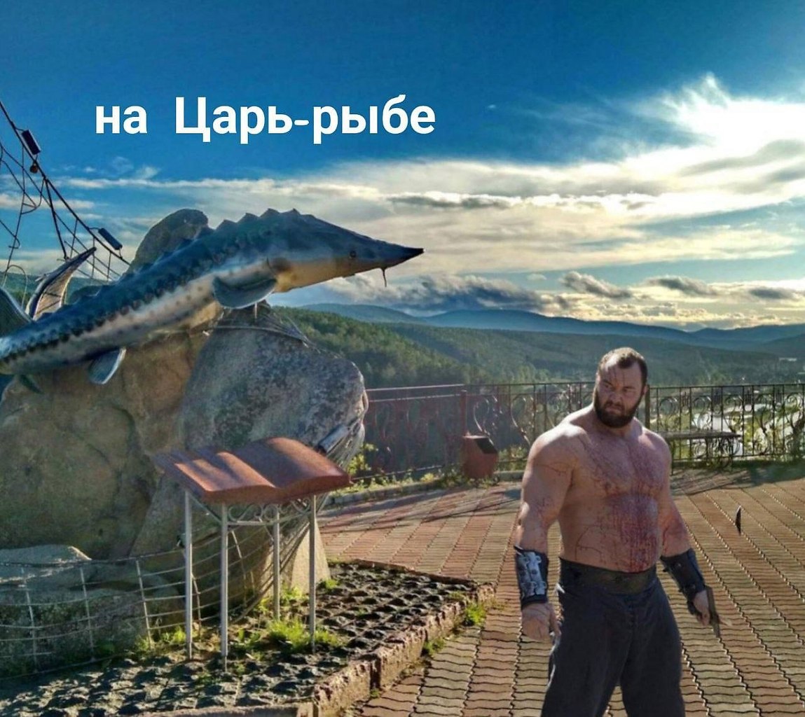       .  ,       ... - 3