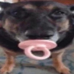 �����, ������, 21 ���