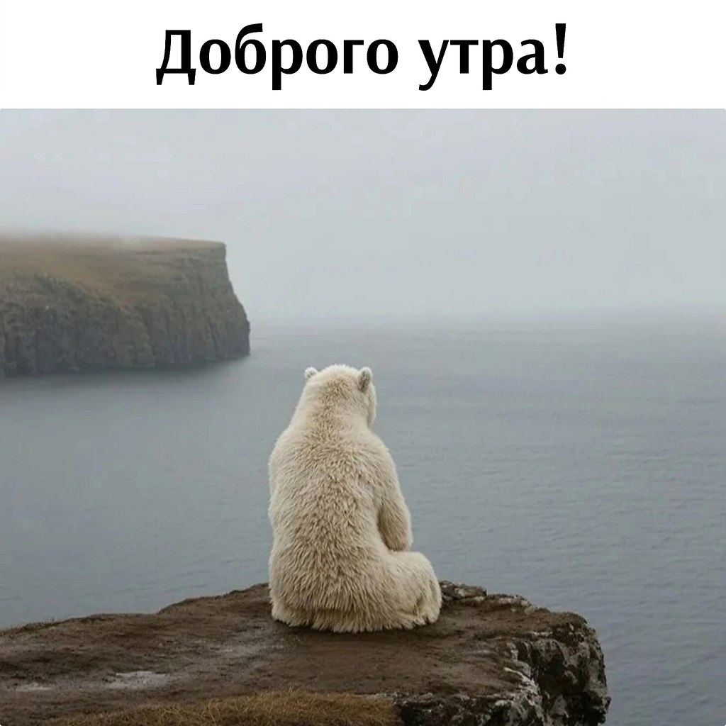   - 29  2025  08:24