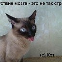 ���� ����, ������� ����, 41 ��� - ��������� 30 ����� 2026