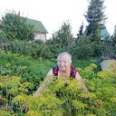 ���� �������, ����, 78 ��� - ��������� 12 �������� 2024 � ������ ������ ��������