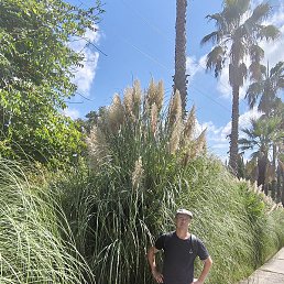 �����, ������, 38 ���