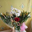 ���� ����, ������ - ��������� 8 ����� 2026 � ������ ������ ��������