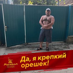 ������, ���������, 49 ���