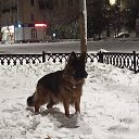 ���� ������, �����������, 46 ��� - ��������� 28 ������� 2023 � ������ ���� ����������