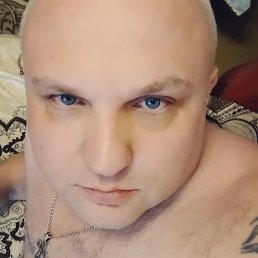 �����, ������, 40 ���