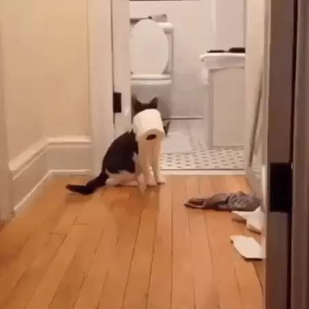 GIF Preview