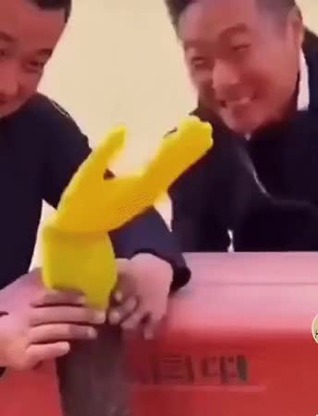 GIF Preview