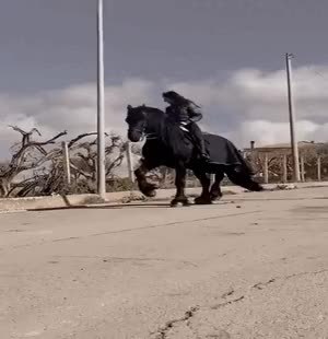 GIF Preview