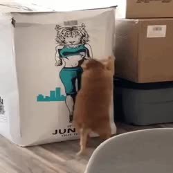 GIF Preview