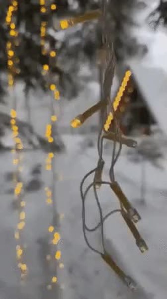 GIF Preview