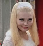 GIF Preview