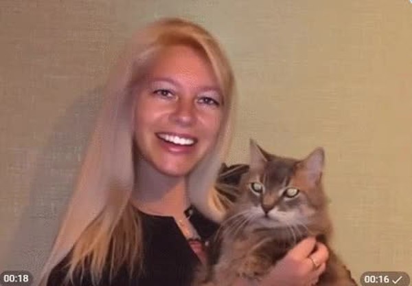 GIF Preview